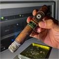 Perdomo 20th Anniversary Sun Grown E656 6  * 56