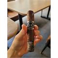 Vega Fina Master 2012 5  * 52