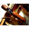 Asylum 13 Maduro Robusto 5  * 50