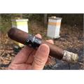 Asylum 13 Maduro 660 6  * 60