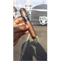 Asylum 13 Maduro 660 6  * 60