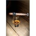 Asylum 13 Maduro 660 6  * 60