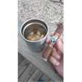 Gurkha Red Witch XO 6  * 60