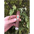 Joya de Nicaragua Antano 1970 Robusto Grande 5 1/2 * 52