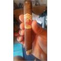 Flor de las Antillas Toro 6  * 52