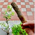 Flor de las Antillas Toro 6  * 52