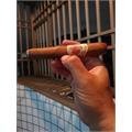Flor de las Antillas Toro 6  * 52