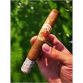 Flor de las Antillas Toro 6  * 52