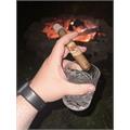 Flor de las Antillas Toro 6  * 52