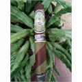 Alec Bradley Filthy Hooligan 6  * 50
