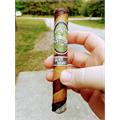 Alec Bradley Filthy Hooligan 6  * 50