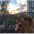 San Lotano Requiem Connecticut Robusto 5  * 52