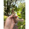 Padron 1926 Serie 80 Years Natural 6 3/4 * 54