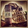 Liga Privada Unico UF 13 Dark 5  * 52
