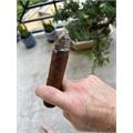 EP Carrillo Inch Natural No. 70 7  * 70