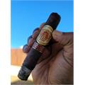 La Aurora 107 Maduro Robusto 5  * 50
