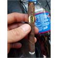Padron Series Cortico Tin Maduro 4 1/4 * 35