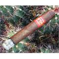 Kristoff Corojo Limitada Matador 6 1/2 * 56