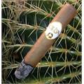 Oliva Connecticut Reserve Double Toro 6  * 60