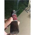 CAO Flathead V660 Carb 6  * 60