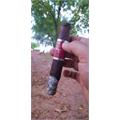 CAO Flathead V660 Carb 6  * 60