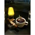 San Cristobal Revelation Odyssey 5 3/4 * 60