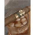 Perla del Mar Robusto 4 3/4 * 52