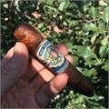 Alec Bradley Mundial PL No. 5 5  * 52