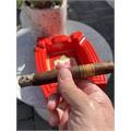 Nica Rustica El Brujito 6  * 52