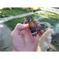 Nica Rustica El Brujito 6  * 52