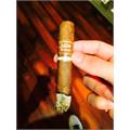 Aging Room Quattro Original Concerto 7  * 50