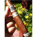 Vega Fina Sumum Edicion Especial 2010 Magnum 6  * 60