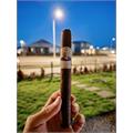 Diamond Crown Julius Caeser Churchill 7 1/4 * 52