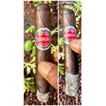 Eiroa CBT Maduro Toro Gordo 6  * 60