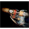 Perdomo Double Aged 12 Year Connecticut Robusto 5  * 56