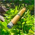 Perdomo Reserve Champagne Super Toro 6  * 60