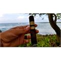 Rocky Patel Royale Robusto 5  * 52