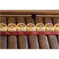 Padron 1926 Serie No. 6 Maduro 4 3/4 * 50
