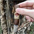 Padron 1926 Serie No. 6 Maduro 4 3/4 * 50