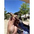 Padron 1926 Serie No. 6 Maduro 4 3/4 * 50