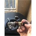 Padron 1926 Serie No. 6 Maduro 4 3/4 * 50