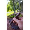 CAO Amazon Basin 6  * 52