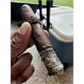 CAO Amazon Basin 6  * 52