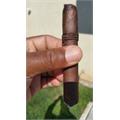 CAO Amazon Basin 6  * 52