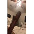 CAO Amazon Basin 6  * 52