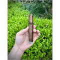 CAO Amazon Basin 6  * 52