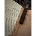 CAO Amazon Basin 6  * 52