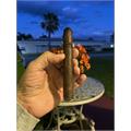 CAO Amazon Basin 6  * 52