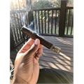CAO Amazon Basin 6  * 52