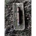 CAO Amazon Basin 6  * 52
